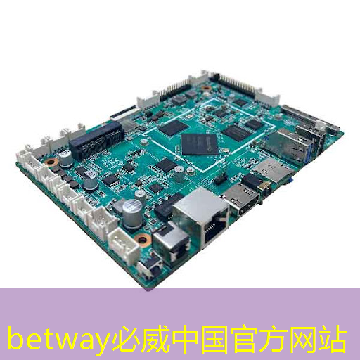 生在電容叢中的芯片：固態硬盤上的電源管理芯片有什么用？