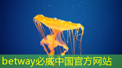 betway必威:RK3399芯片在消費產品中的應用及PCB設計關鍵注意事項 betway必威:RK3399芯片在消費產品中的應用及PCB設計關鍵注意事項