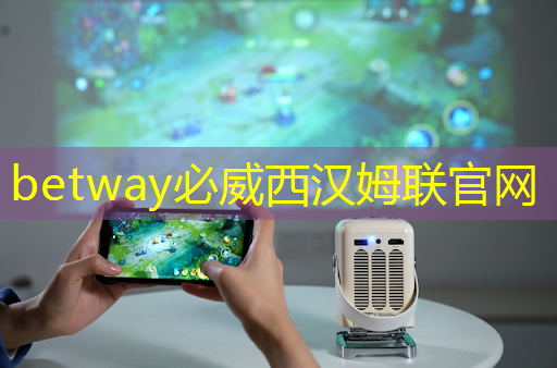 掌上游戲機芯片有哪些優勢？