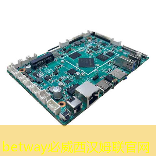 生在電容叢中的芯片：固態硬盤上的電源管理芯片有什么用？