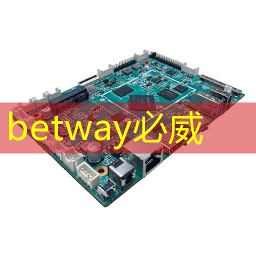 黑芝麻智能亮相CES 2024，中國智能汽車芯片走向全球舞臺