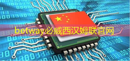 “蔚小理”、比亞迪紛紛下場造芯片背后，自動駕駛軟硬一體已成趨勢