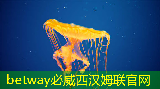 betway必威西漢姆聯(lián)官網(wǎng)：簡述工業(yè)互聯(lián)網(wǎng)標(biāo)識(shí)解析過程