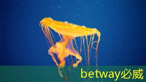 betway必威：工業(yè)互聯(lián)網(wǎng)實(shí)訓(xùn)室設(shè)備清單