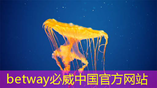 betway必威：工業(yè)互聯(lián)網(wǎng)運營團隊有哪些