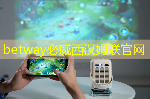 betway必威：人工智能物流系統設計