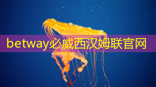 betway必威西漢姆聯(lián)官網(wǎng)：智慧投影：如何利用智能手機(jī)控制投影儀來(lái)增加便利性？