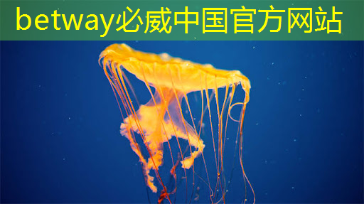 betway必威西漢姆聯(lián)官網(wǎng)：主控芯片中的電源管理技術，解析主控芯片中的電源管理策略！