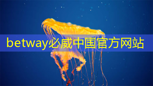 betway必威西漢姆聯官網：TCL智慧商顯技術：改寫商業展示的黃金法則