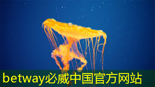 現(xiàn)代物流管理 智能物流