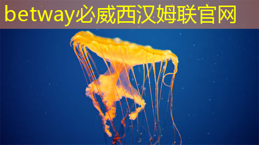 數(shù)字賦能中原農(nóng)谷 “AI”增強(qiáng)農(nóng)業(yè)“芯片” 數(shù)字賦能中原農(nóng)谷 “AI”增強(qiáng)農(nóng)業(yè)“芯片”