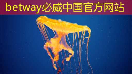 祥峰報告|人工智能芯片發展前景研究(Part III) 祥峰報告|人工智能芯片發展前景研究(Part III)