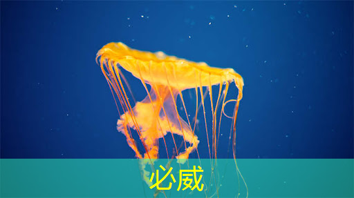 高性能、低成本、快速量產(chǎn)!國(guó)民科技開(kāi)源單芯片NB智能鎖方案 高性能、低成本、快速量產(chǎn)!國(guó)民科技開(kāi)源單芯片NB智能鎖方案